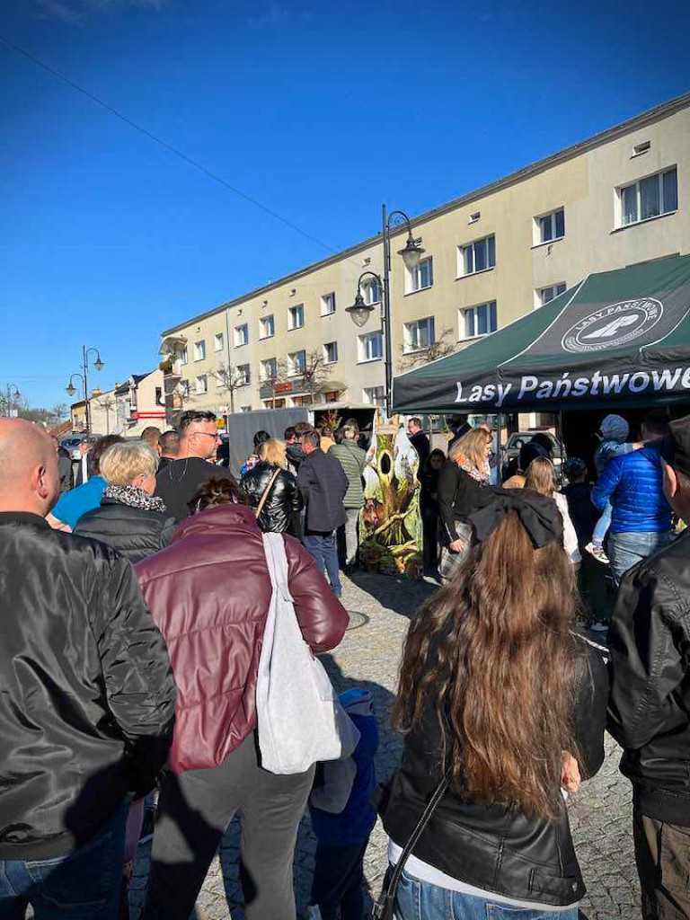 Hrubieszów: Tłumy po leśne drzewka [ZDJĘCIA]