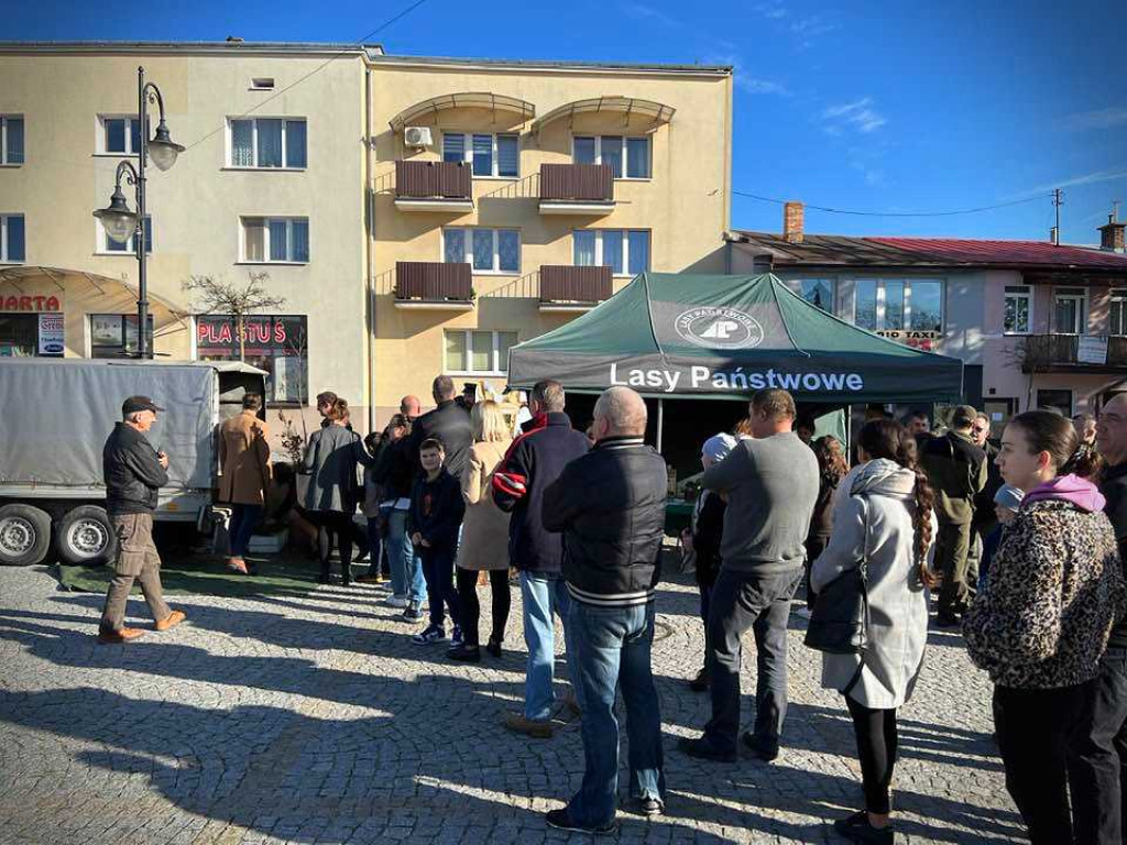 Hrubieszów: Tłumy po leśne drzewka [ZDJĘCIA]