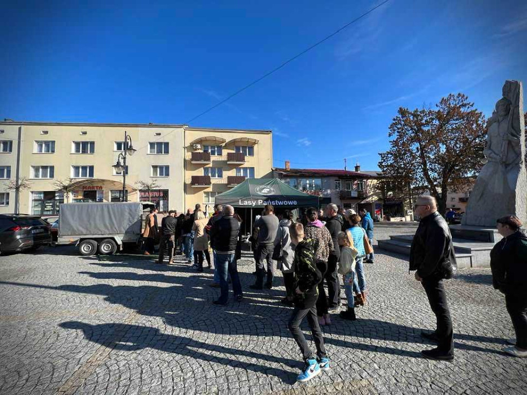 Hrubieszów: Tłumy po leśne drzewka [ZDJĘCIA]