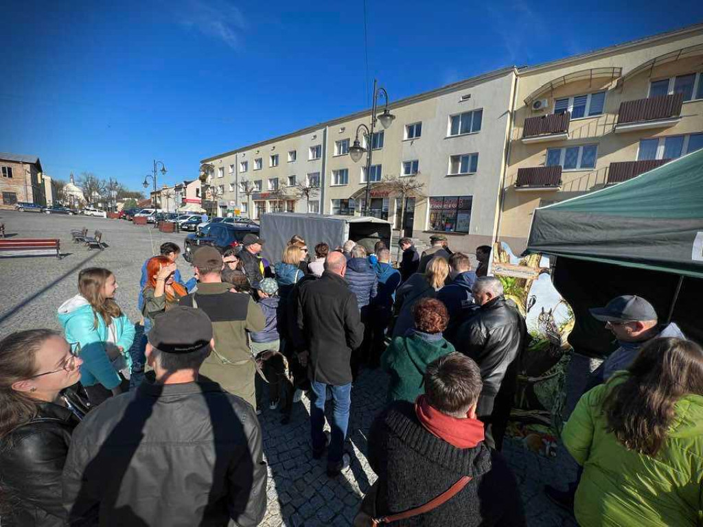 Hrubieszów: Tłumy po leśne drzewka [ZDJĘCIA]