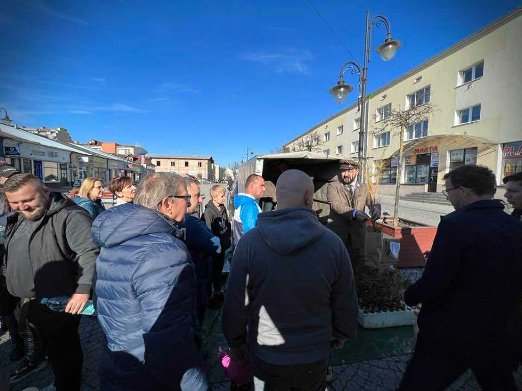 Hrubieszów: Tłumy po leśne drzewka [ZDJĘCIA]