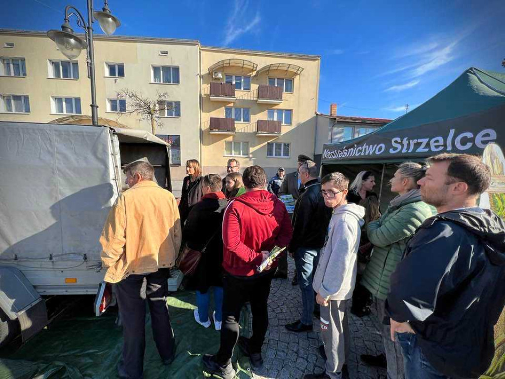 Hrubieszów: Tłumy po leśne drzewka [ZDJĘCIA]