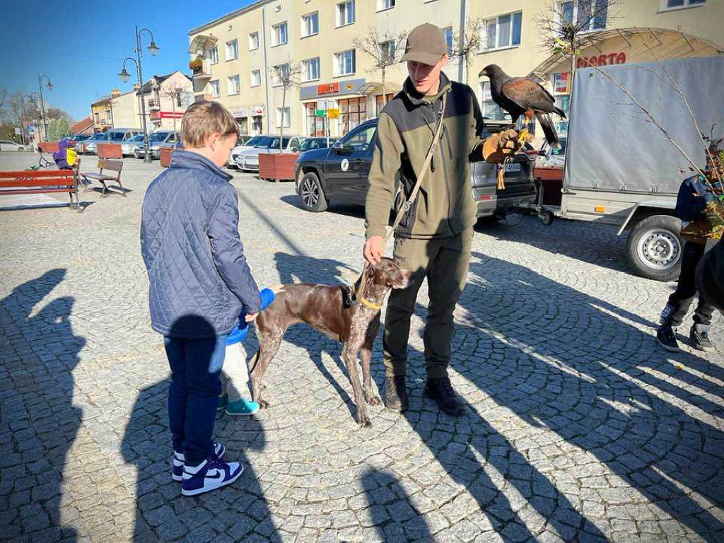 Hrubieszów: Tłumy po leśne drzewka [ZDJĘCIA]