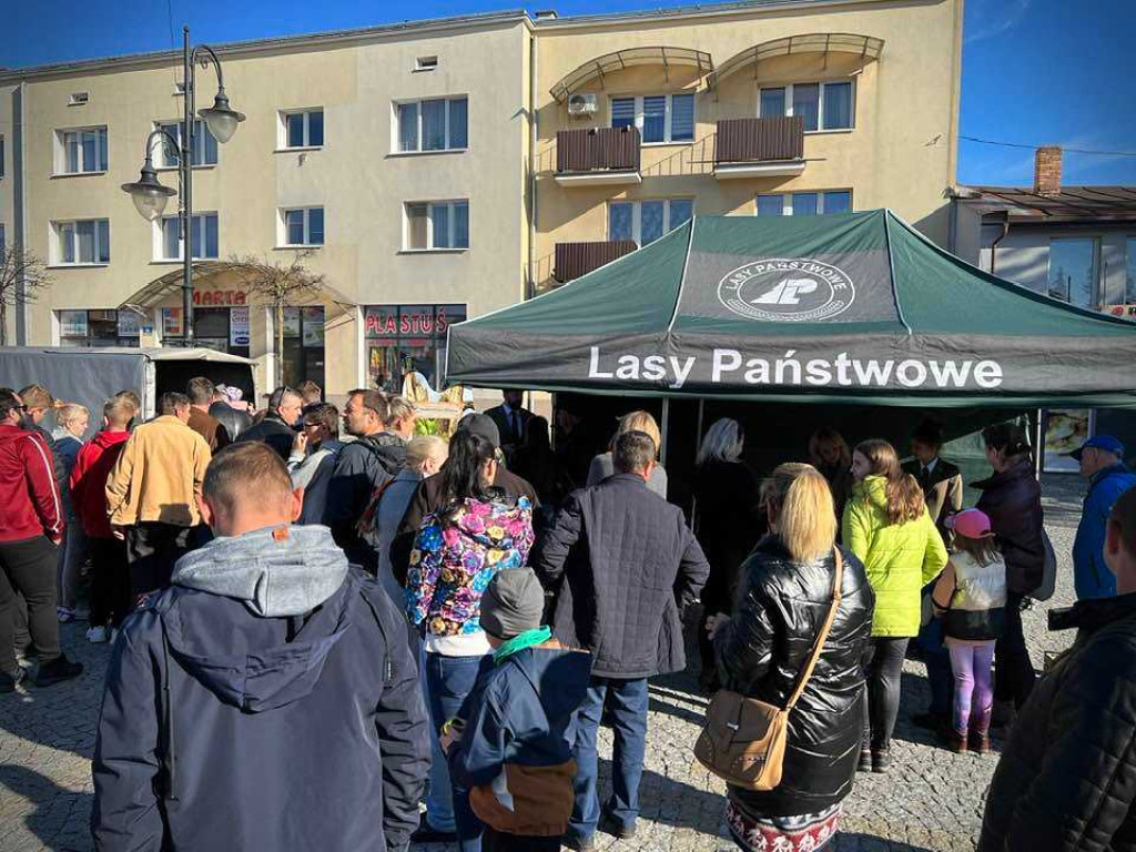 Hrubieszów: Tłumy po leśne drzewka [ZDJĘCIA]