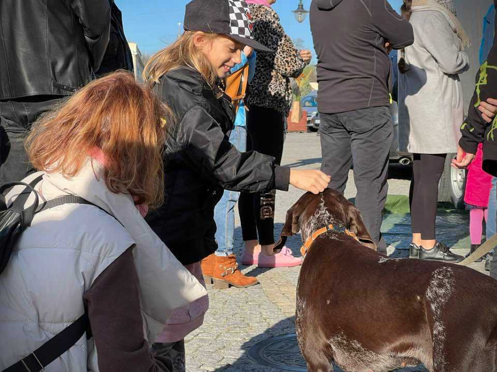 Hrubieszów: Tłumy po leśne drzewka [ZDJĘCIA]