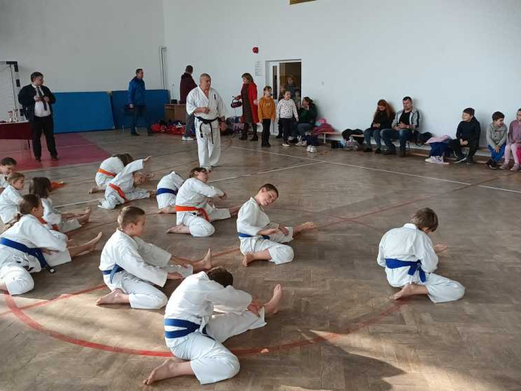 Pokaz karate w Kozodawach [ZDJĘCIA]