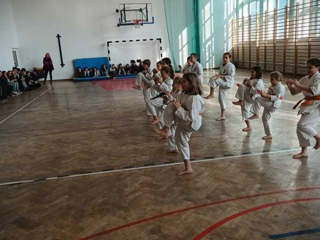 Pokaz karate w Kozodawach [ZDJĘCIA]