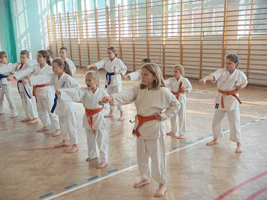 Pokaz karate w Kozodawach [ZDJĘCIA]