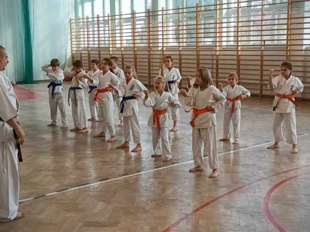 Pokaz karate w Kozodawach [ZDJĘCIA]