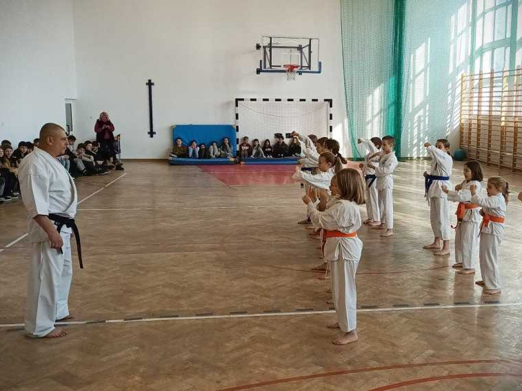 Pokaz karate w Kozodawach [ZDJĘCIA]