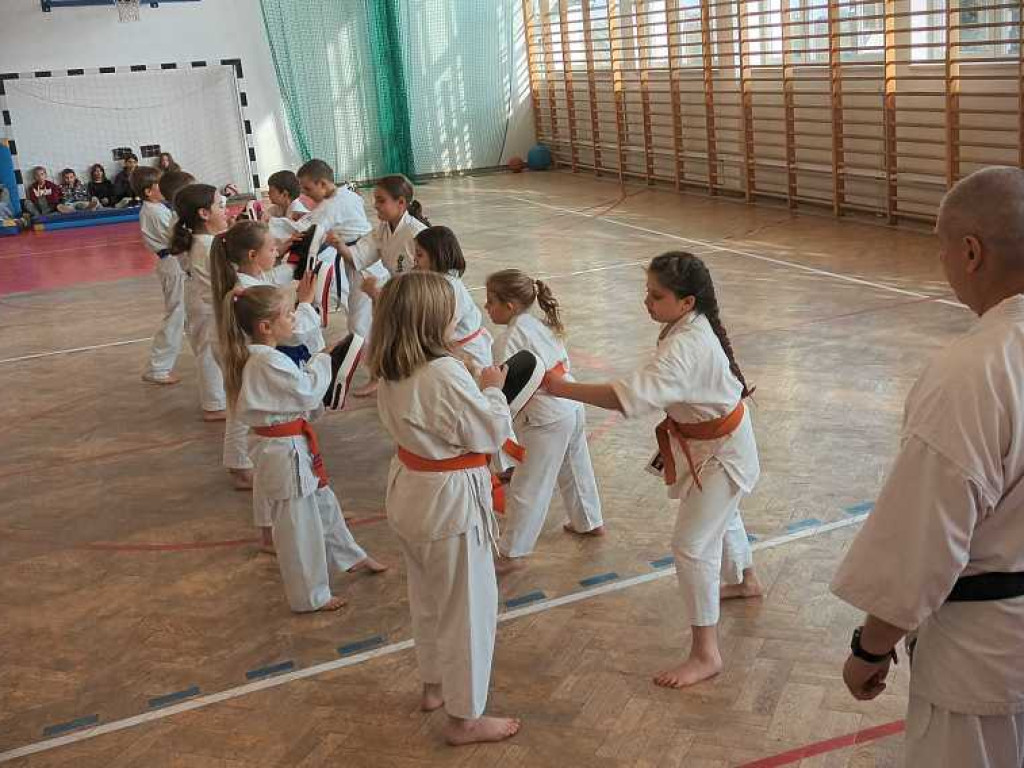 Pokaz karate w Kozodawach [ZDJĘCIA]