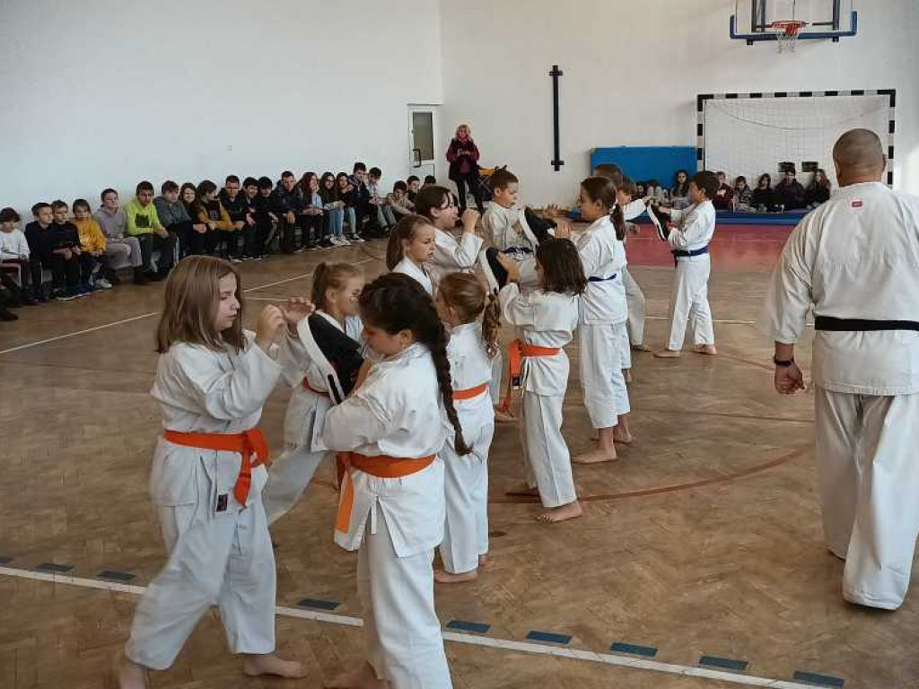 Pokaz karate w Kozodawach [ZDJĘCIA]