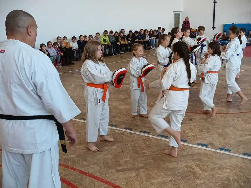 Pokaz karate w Kozodawach [ZDJĘCIA]