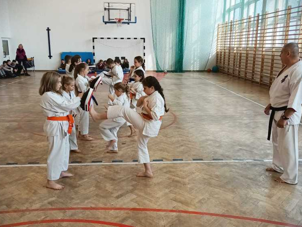 Pokaz karate w Kozodawach [ZDJĘCIA]