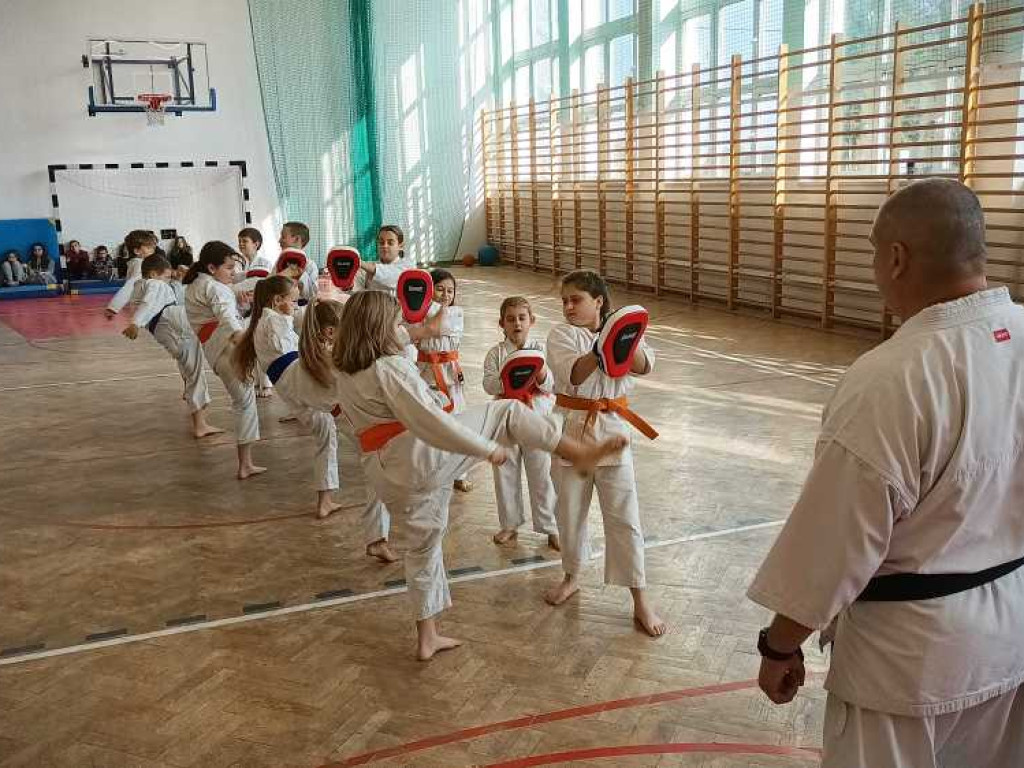 Pokaz karate w Kozodawach [ZDJĘCIA]