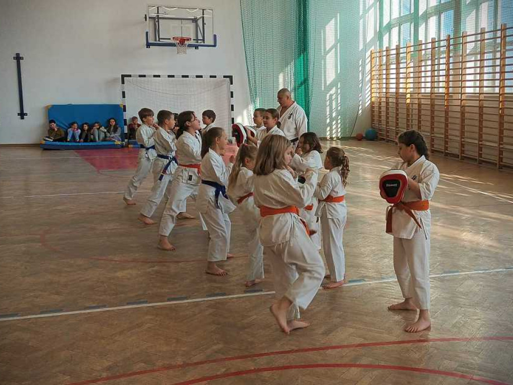 Pokaz karate w Kozodawach [ZDJĘCIA]