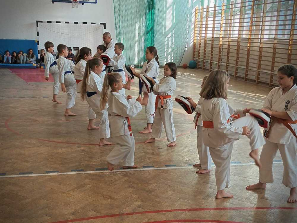 Pokaz karate w Kozodawach [ZDJĘCIA]