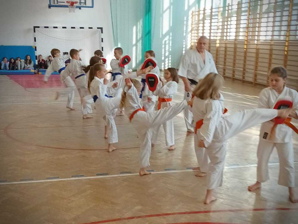 Pokaz karate w Kozodawach [ZDJĘCIA]