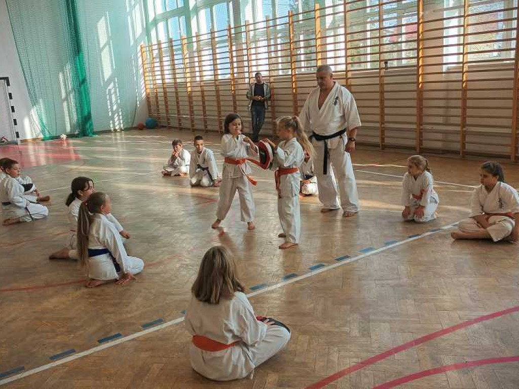 Pokaz karate w Kozodawach [ZDJĘCIA]
