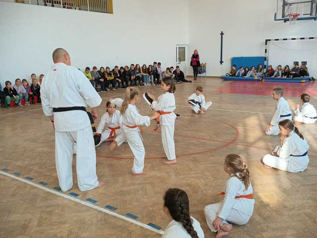 Pokaz karate w Kozodawach [ZDJĘCIA]