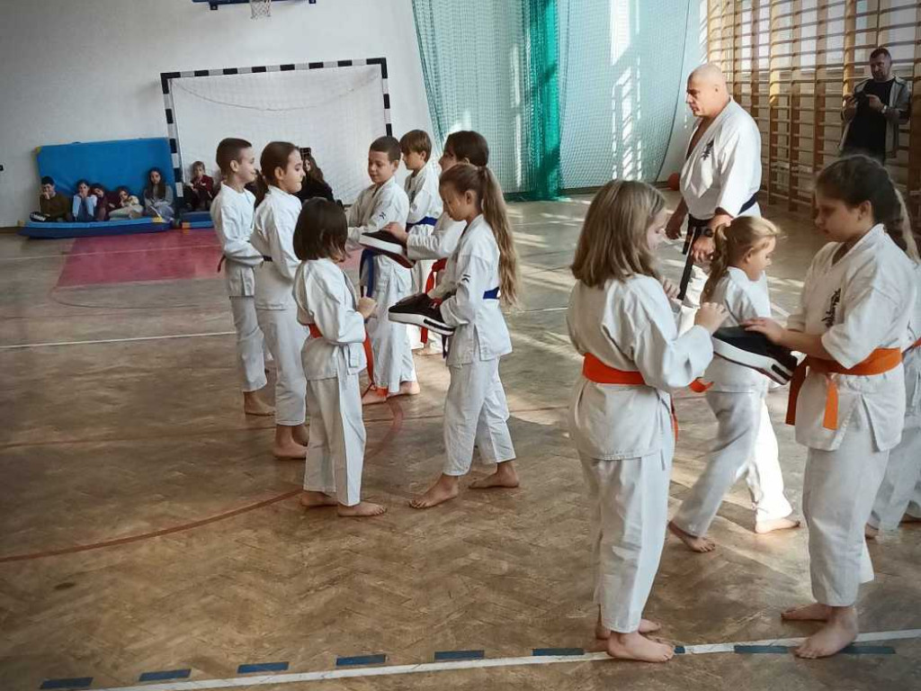 Pokaz karate w Kozodawach [ZDJĘCIA]