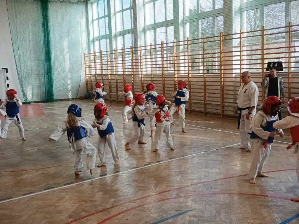 Pokaz karate w Kozodawach [ZDJĘCIA]