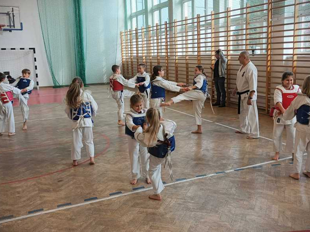 Pokaz karate w Kozodawach [ZDJĘCIA]