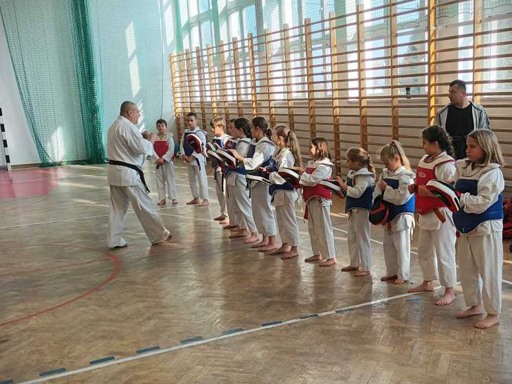 Pokaz karate w Kozodawach [ZDJĘCIA]