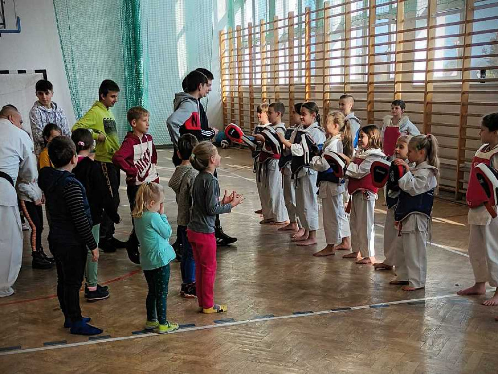 Pokaz karate w Kozodawach [ZDJĘCIA]