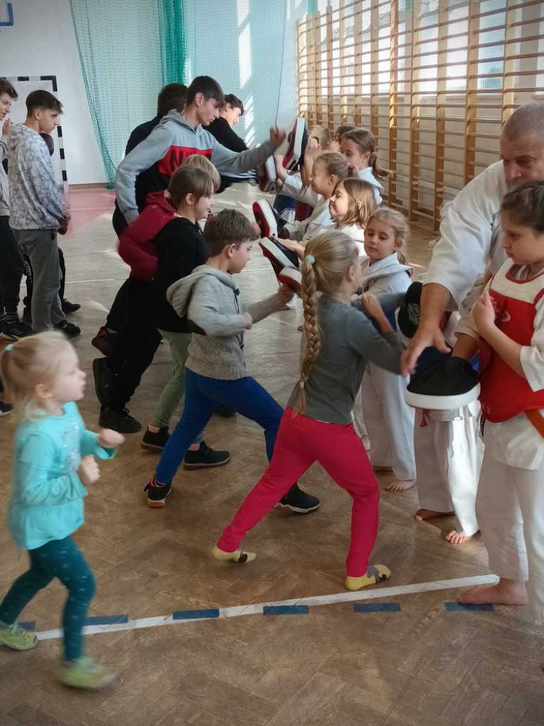Pokaz karate w Kozodawach [ZDJĘCIA]
