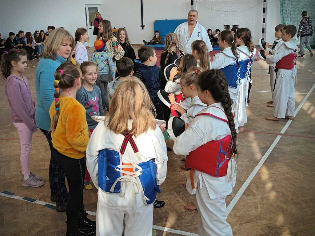 Pokaz karate w Kozodawach [ZDJĘCIA]