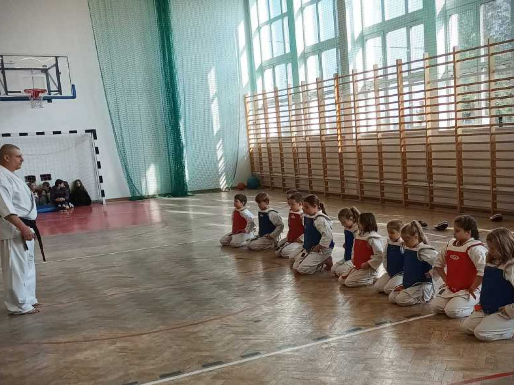 Pokaz karate w Kozodawach [ZDJĘCIA]