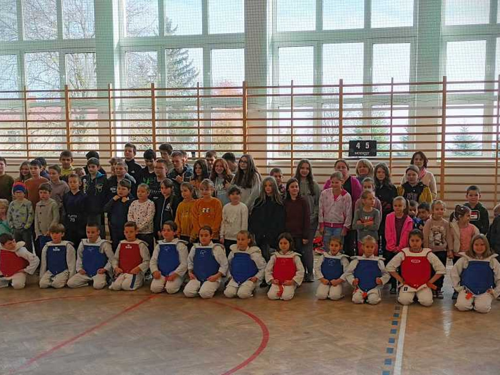 Pokaz karate w Kozodawach [ZDJĘCIA]