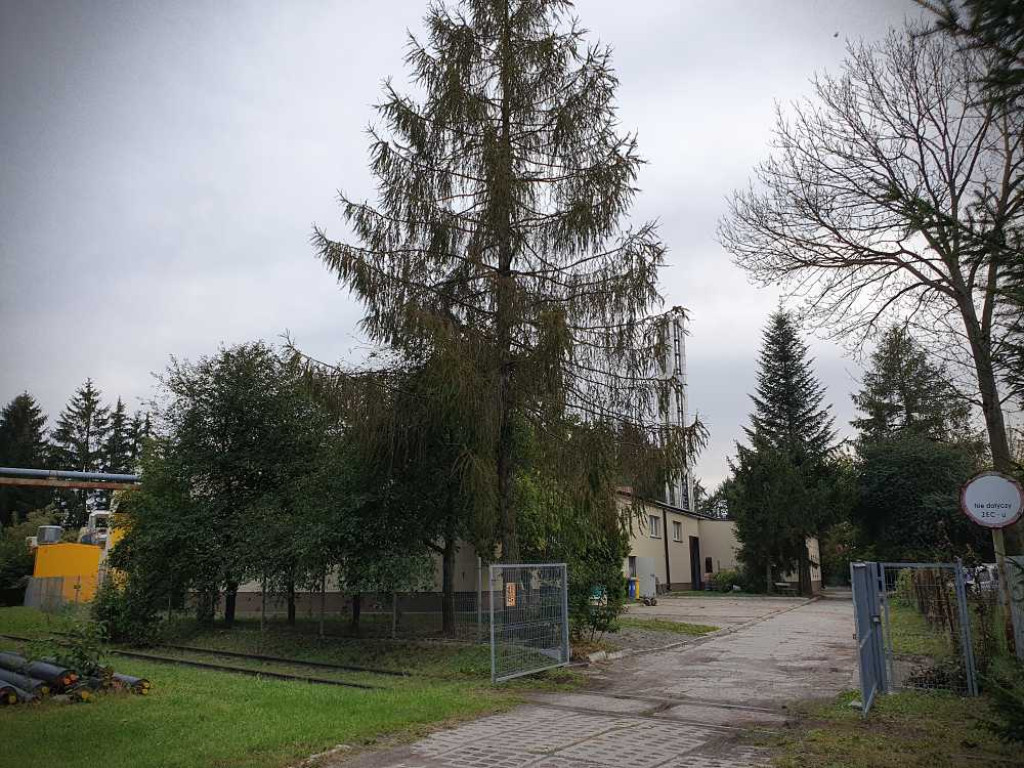 Hrubieszów: ZEC i okolice [ZDJĘCIA]