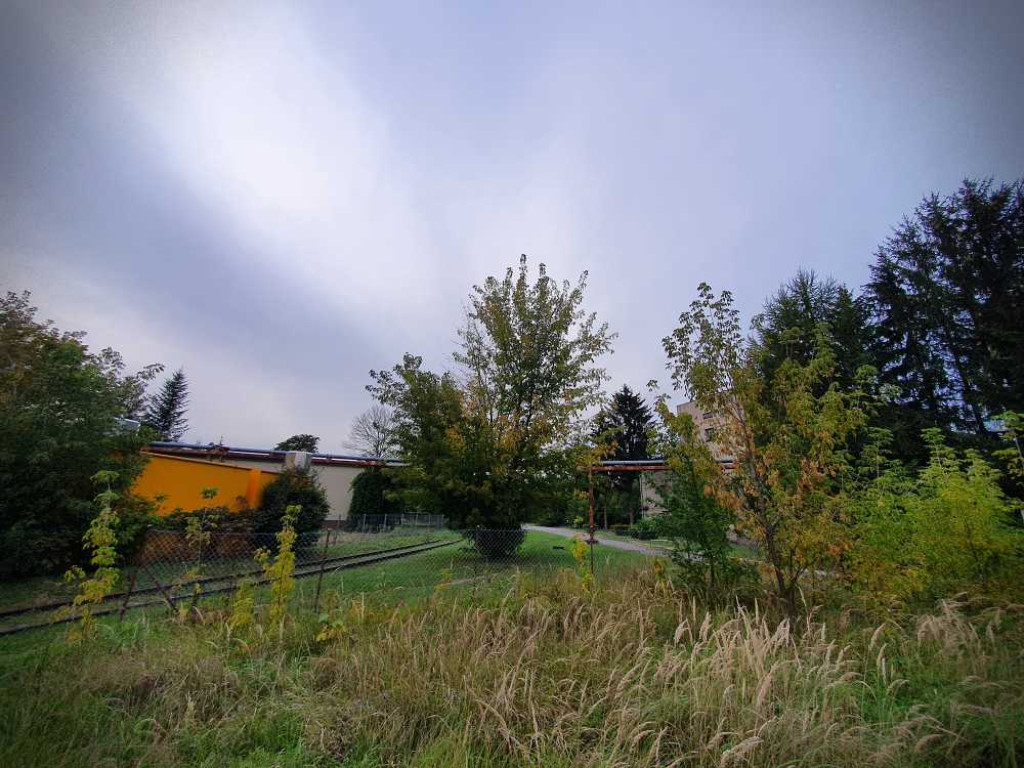 Hrubieszów: ZEC i okolice [ZDJĘCIA]