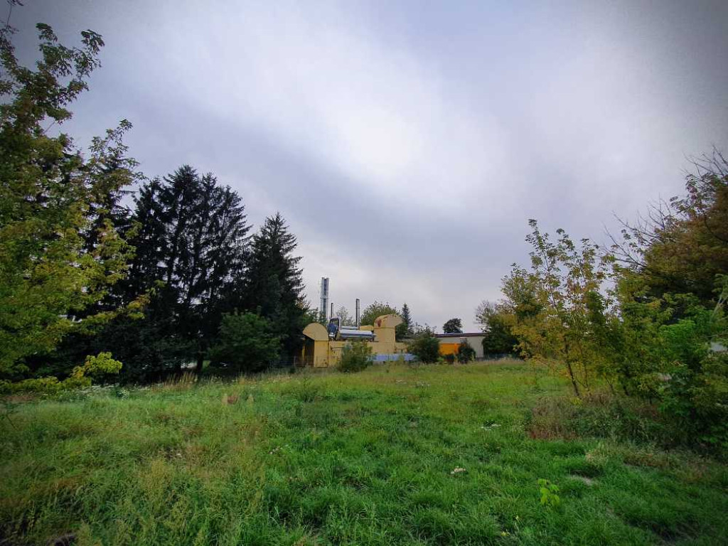 Hrubieszów: ZEC i okolice [ZDJĘCIA]
