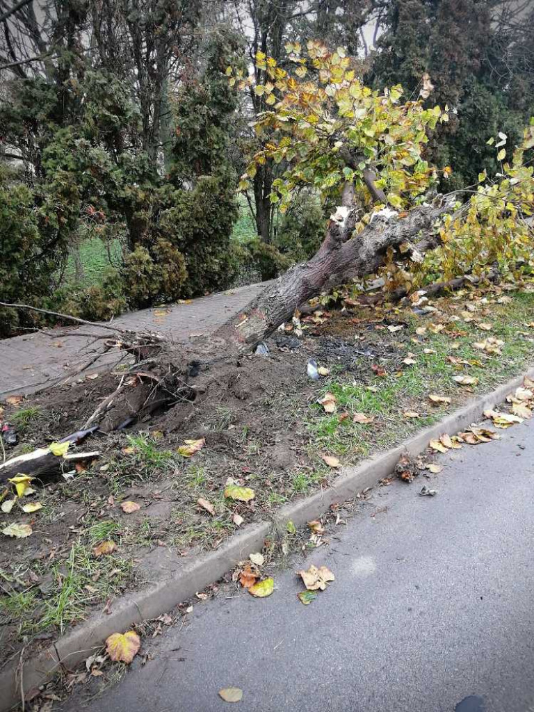 Hrubieszów: Parking przy ulicy Ciesielczuka - dyskoteka, pijaństwo, bączki, wypadki i wyścigi ulicami miasta... Nie czekajmy na tragedię!