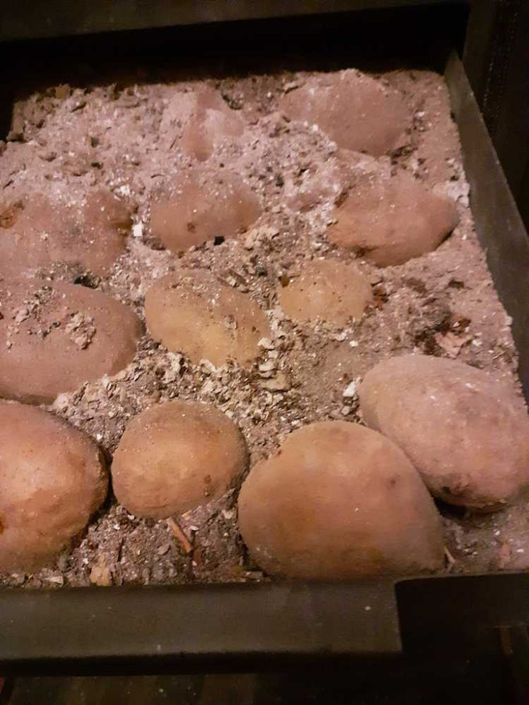 Hrubieszów: Święto pieczonego ziemniaka w Caritas [ZDJĘCIA]