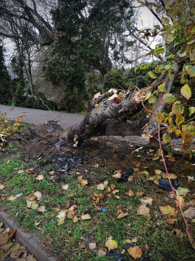 Hrubieszów: Burmistrz nie posiada informacji w powyższym zakresie... Mieszkańcy ratujcie się sami [ZDJĘCIA]