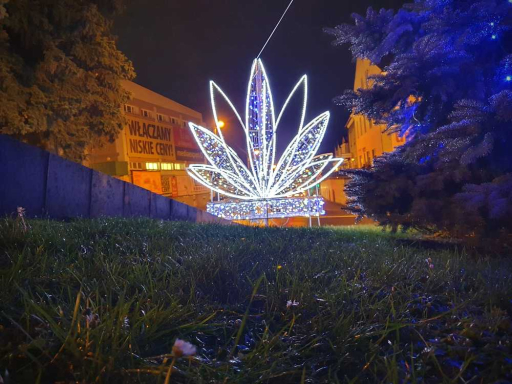 Powstaje szopka na hrubieszowskim Rynku [ZDJĘCIA]