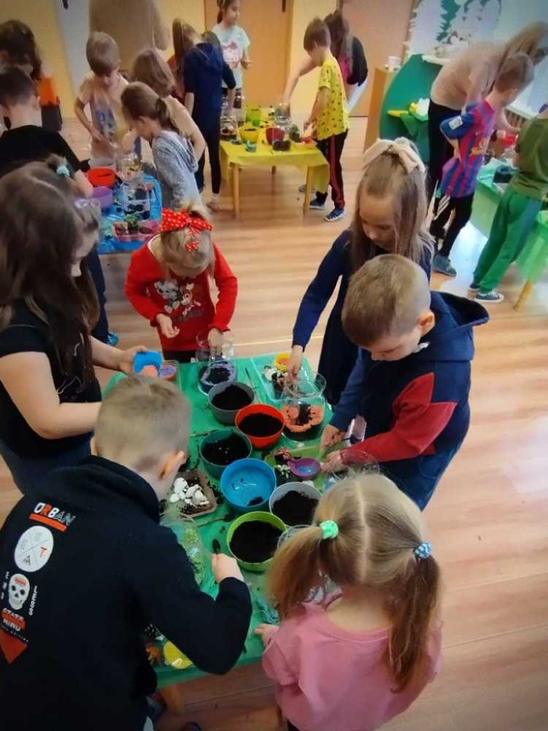 Hrubieszów: 