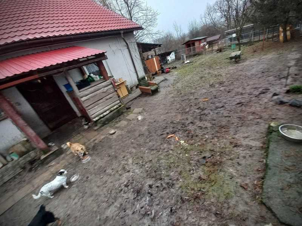 Dzieci dla Reksia i przyjaciół [ZDJĘCIA]