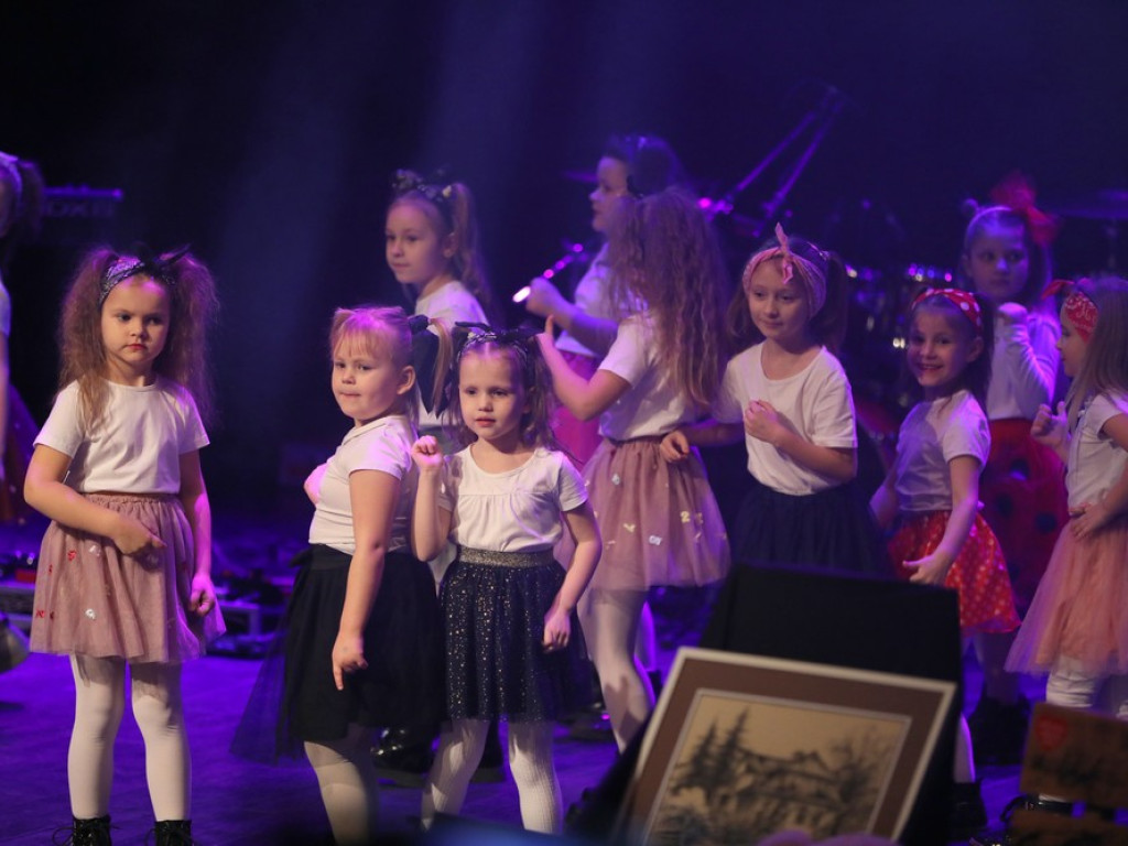Hrubieszów: 31 Finał Wielkiej Orkiestry Świątecznej Pomocy [ZDJĘCIA]