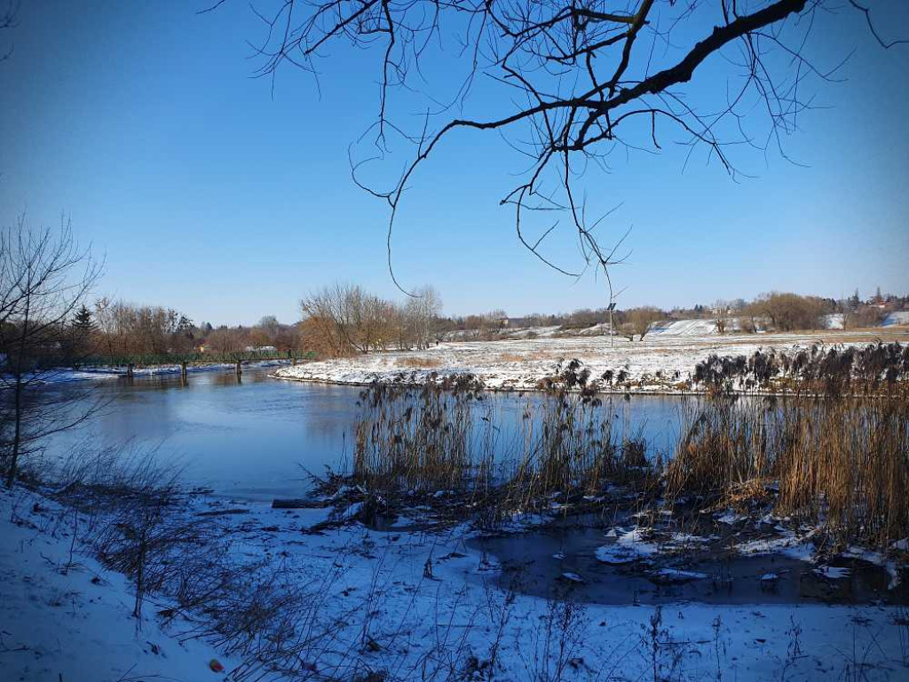 Hrubieszów: Huczwa i łąki [ZDJĘCIA]