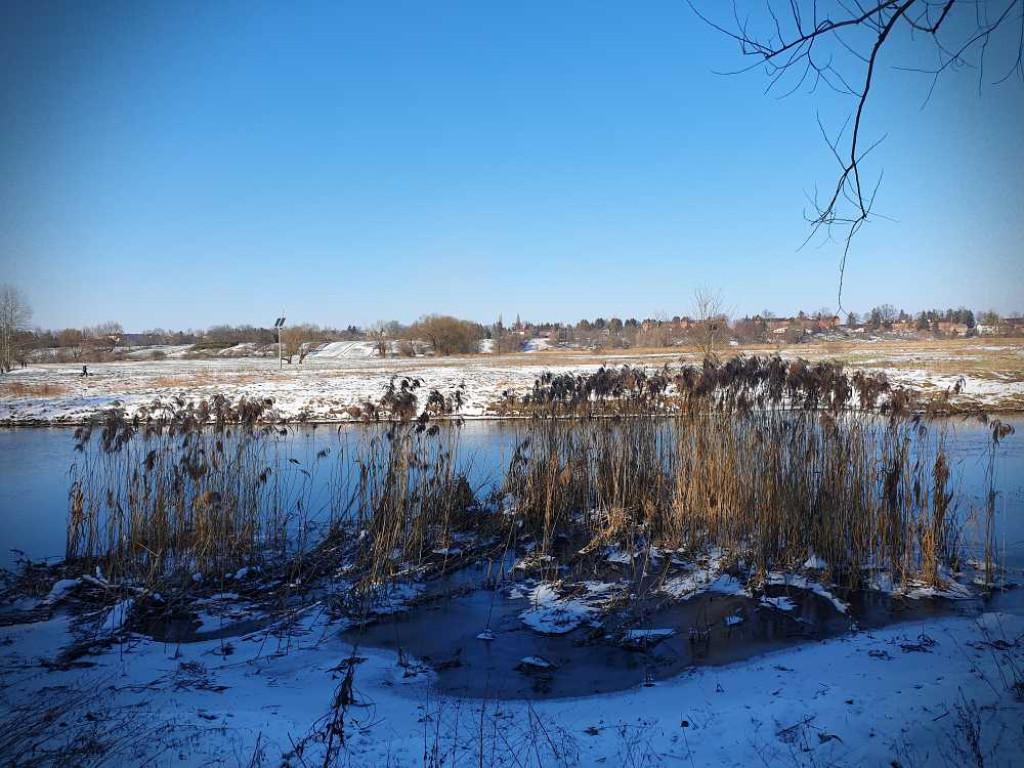 Hrubieszów: Huczwa i łąki [ZDJĘCIA]