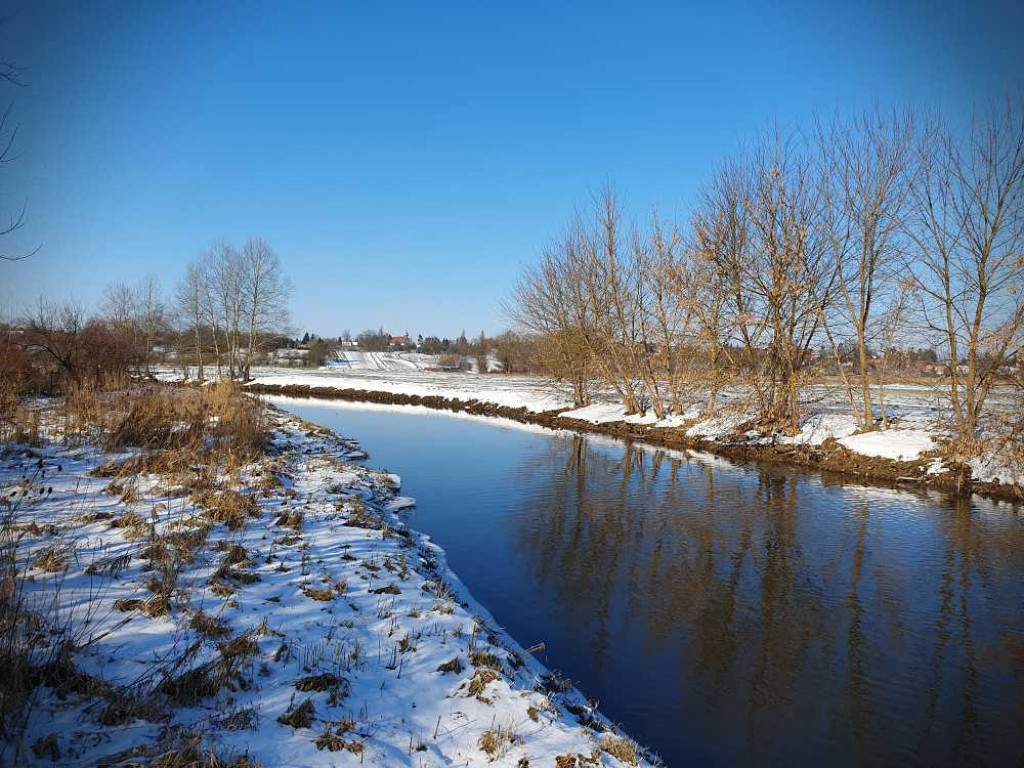 Hrubieszów: Huczwa i łąki [ZDJĘCIA]