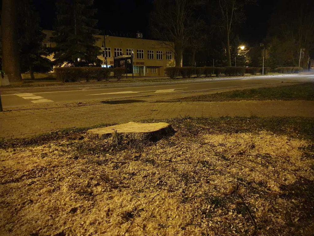 Hrubieszów w szczegółach - 3 Maja