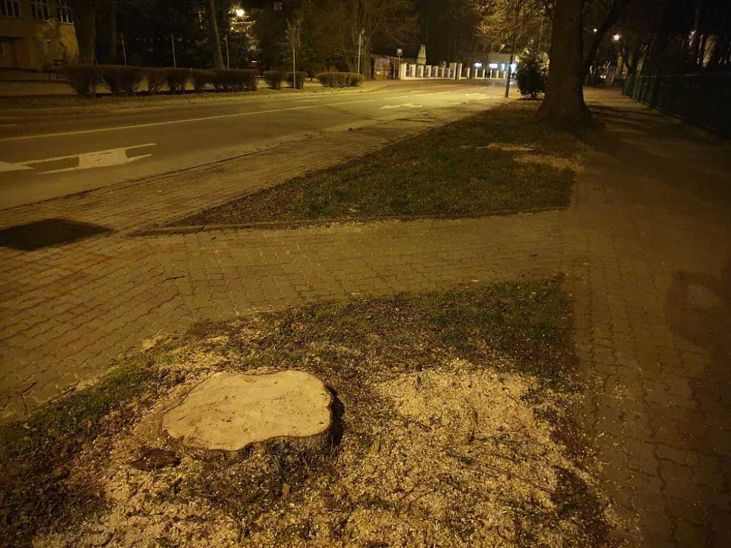 Hrubieszów w szczegółach - 3 Maja