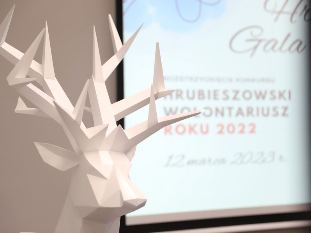 Hrubieszowski Wolontariusz Roku 2022 [ZDJĘCIA]