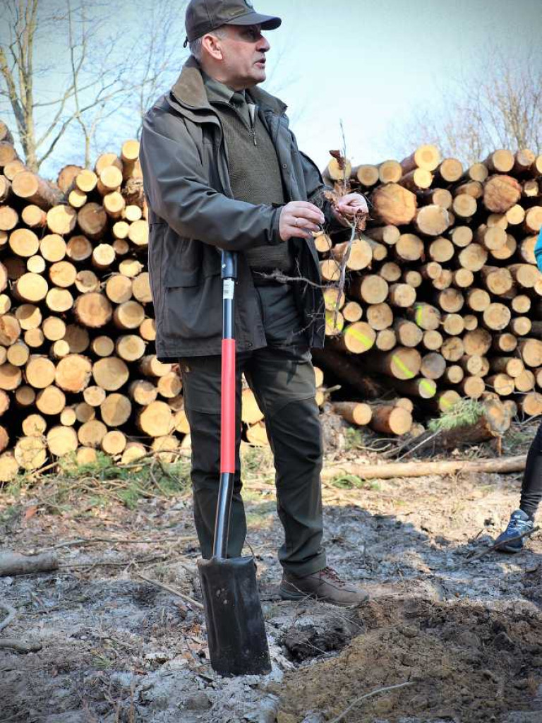 Hrubieszów: Łączą ich drzewa [ZDJĘCIA]